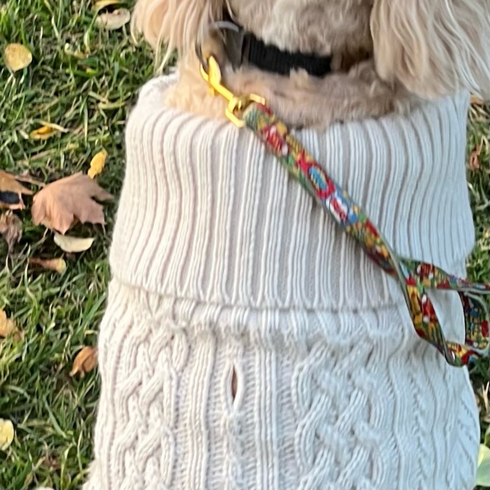 ✨Host Pick! Boots & Barkley cabled dog sweater XL NWT - Picture 5 of 11